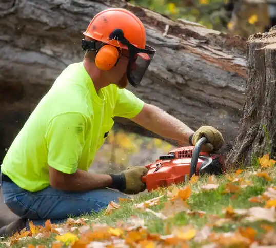 tree services Gramercy